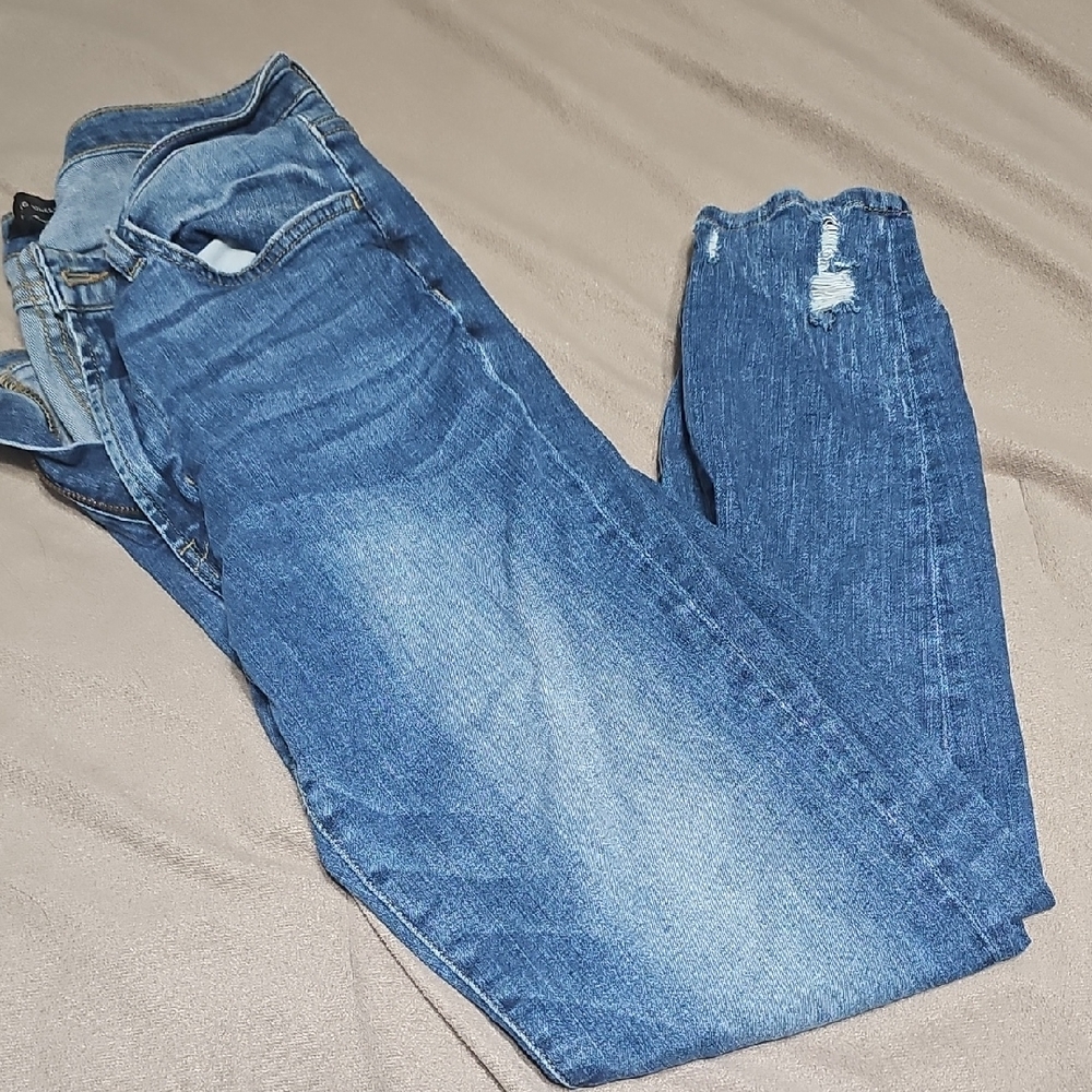 Flying Monkey Distressed Blue Skinny Jeans